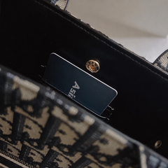 Elegant CD Crossbody Phone Bag-GECD216